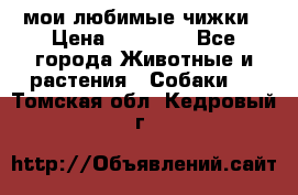 мои любимые чижки › Цена ­ 15 000 - Все города Животные и растения » Собаки   . Томская обл.,Кедровый г.